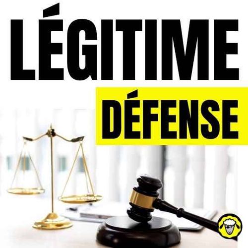 Examen de loi "présomption d’usage légitime des armes pour les forces de l’ordre"