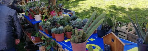 JOURNEE Les rendez-vous du printemps