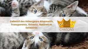 CAMP Chatons
