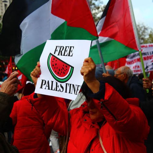 MANIFESTATION de soutien au peuple palestinien et contre le permis de tuer