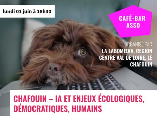 IA et enjeux écologiques, démocratiques, humains : Comprendre, enquêter, critiquer