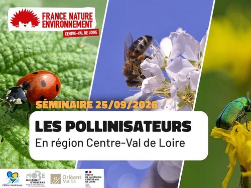 SEMINAIRE Les pollinisateurs en Région Centre VdL
