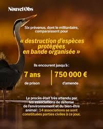 PROCES Olivier Bouygues pour destruction d'espèces protégées en bande organisée