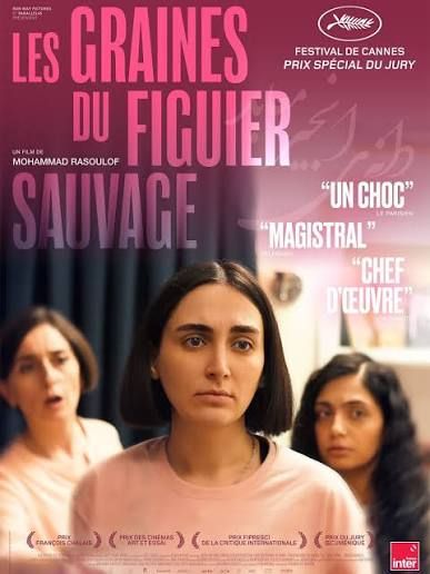 VISIONNAGE Les graines du figuier sauvage